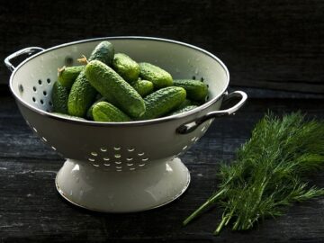 Salzgurken (zum sofortigen Verbrauch)