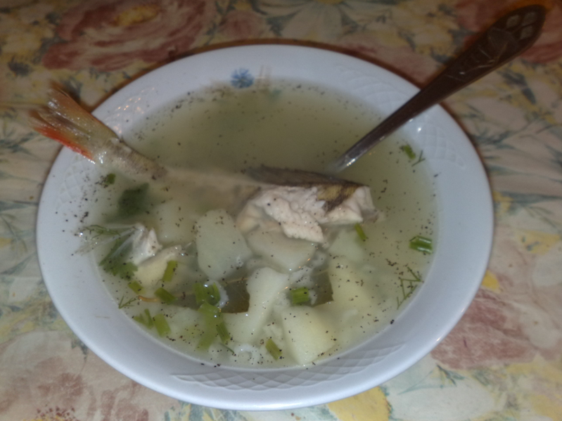 Ucha, eine russische Fischsuppe » DDR-Rezept » einfach &amp; genial!