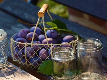 Essigpflaumen