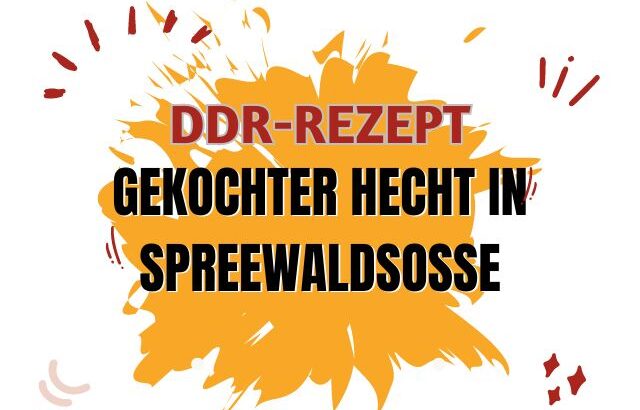 Gekochter Hecht in Spreewaldsoße