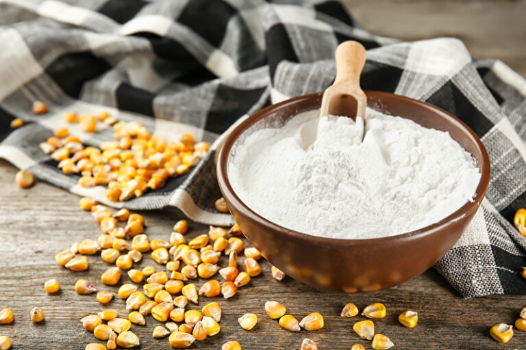 Küchenlexikon » Maisstärke » DDR-Rezepte