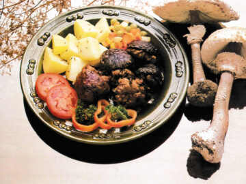 Gefüllte Parasolpilze