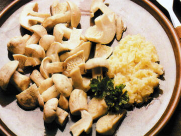 Krenspeise aus Pilzen