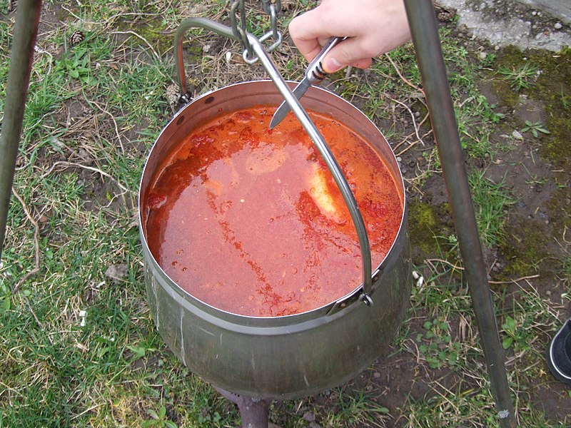 Ungarische Fischersuppe