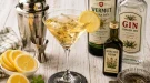 Cocktail aus Gin, Wermut und Kräuterlikör mit Zitronenscheibe in einem eleganten Glas.
