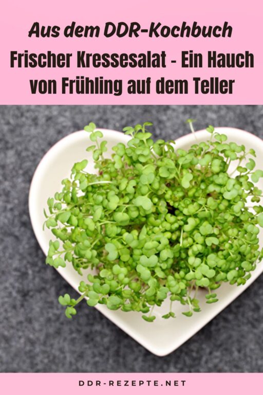 Frischer Kressesalat – Ein Hauch von Frühling auf dem Teller
