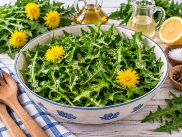 Frischer Löwenzahn-Salat mit Wildkräutern und leichter Marinade.