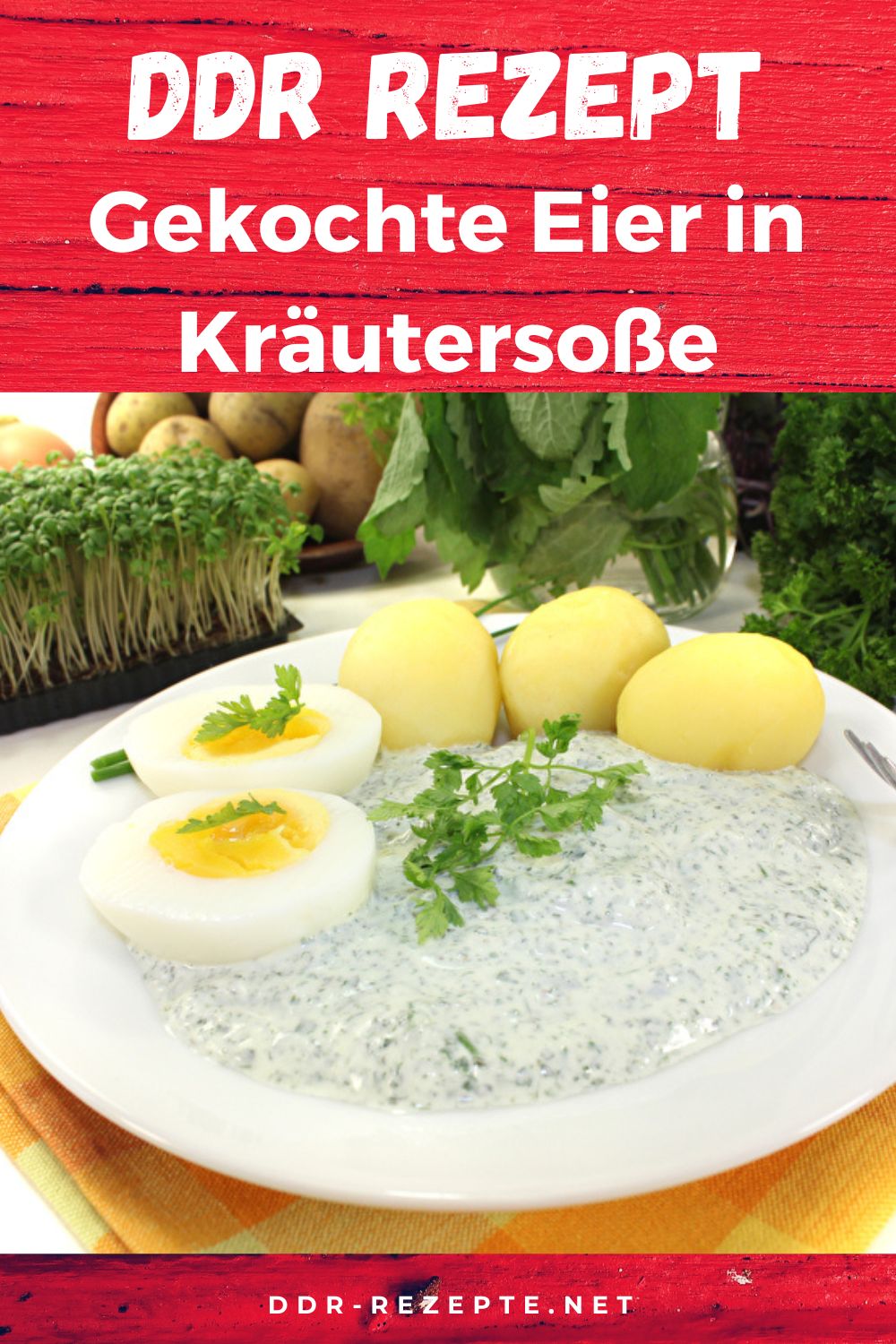 Gekochte Eier in Kräutersoße » DDR-Rezept » einfach &amp; genial!