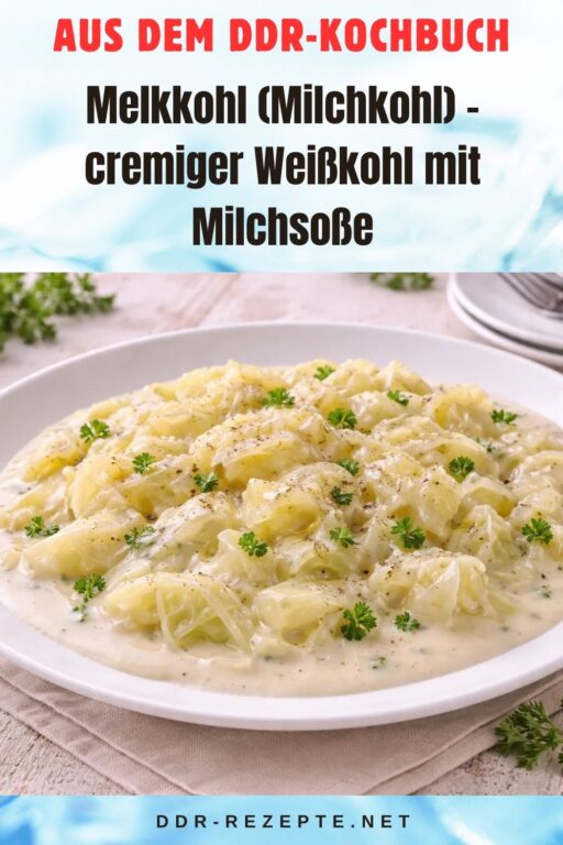 Melkkohl (Milchkohl) – cremiger Weißkohl mit Milchsoße