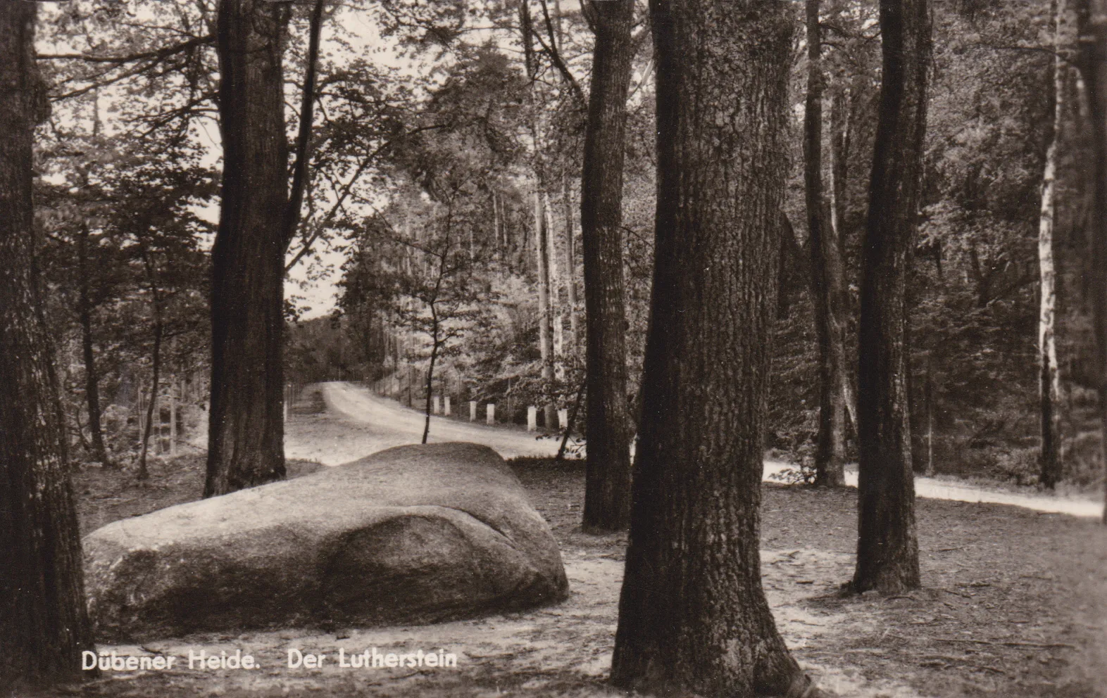 Dübener Heide – Urlaub zwischen Kiefern, Bungalows und Waldbad