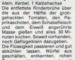 Kalte Madrider Kraftbrühe